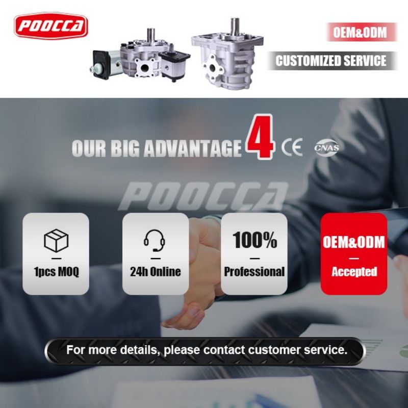 Характеристики шестеренчатого насоса NSH插图2 Характеристики шестеренчатого насоса NSH插图2