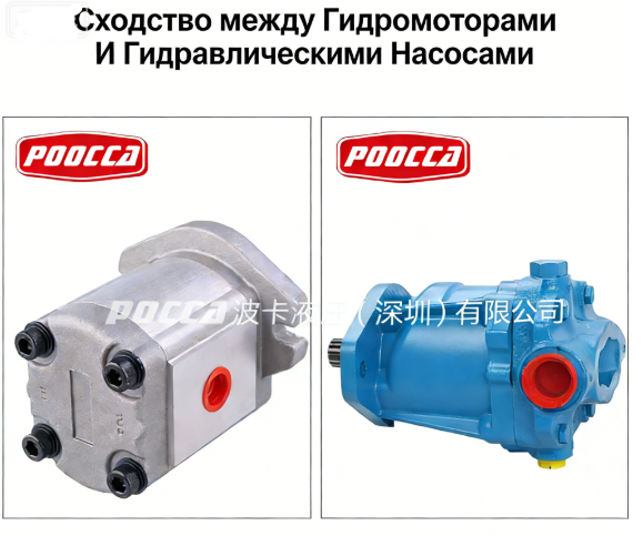  между Гидромоторами И Гидравлическими Насосами